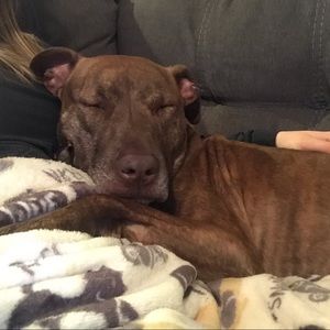 Meet your Posher, Meg